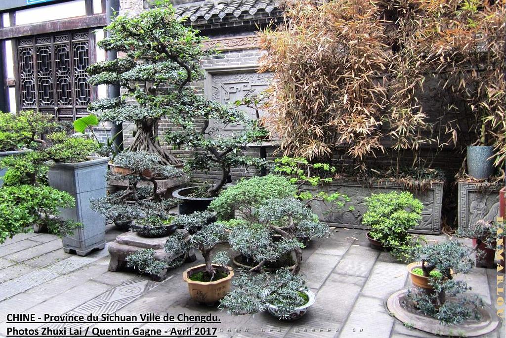 Chengdu avril 2017 - 099.JPG